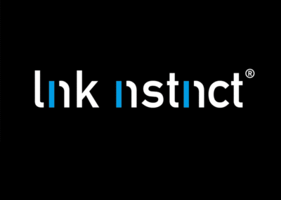 link instinct® DETERMINE – DO – DELIVER